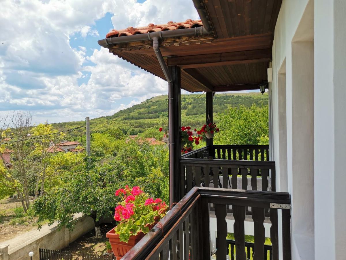 Villa Holly バルチク エクステリア 写真